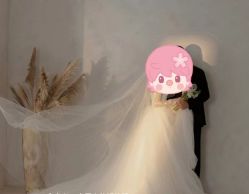 -金夫人婚纱摄影(华南店)