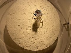 -中国美术学院象山校区-民艺博物馆