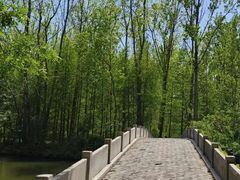 -溱湖国家湿地公园