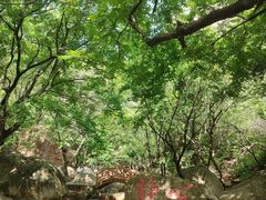 -京东石林峡风景区