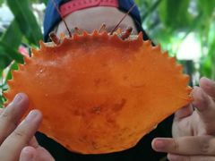 -龙海鲜螃蟹王(宏茂桥店)