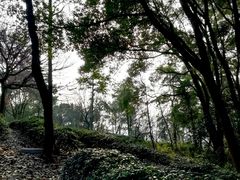 -灵岩山风景区