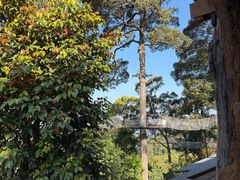 -清迈丛林飞跃 JungleFlight