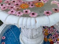 -秀儿家の小确幸花园西餐厅