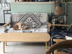 -平行世界·猫咖(首经贸店)