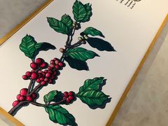 -瑞幸咖啡(南海万科广场店)