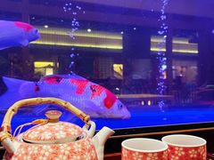 -大江户·温泉洗浴(浑南店)