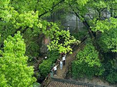 -巴倒烫陆派火锅山庄(南山总店)