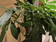 -洛阳宴·洛阳菜(南昌路店)