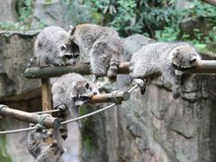 -杭州野生动物世界