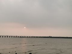 -宝安西湾红树林湿地公园