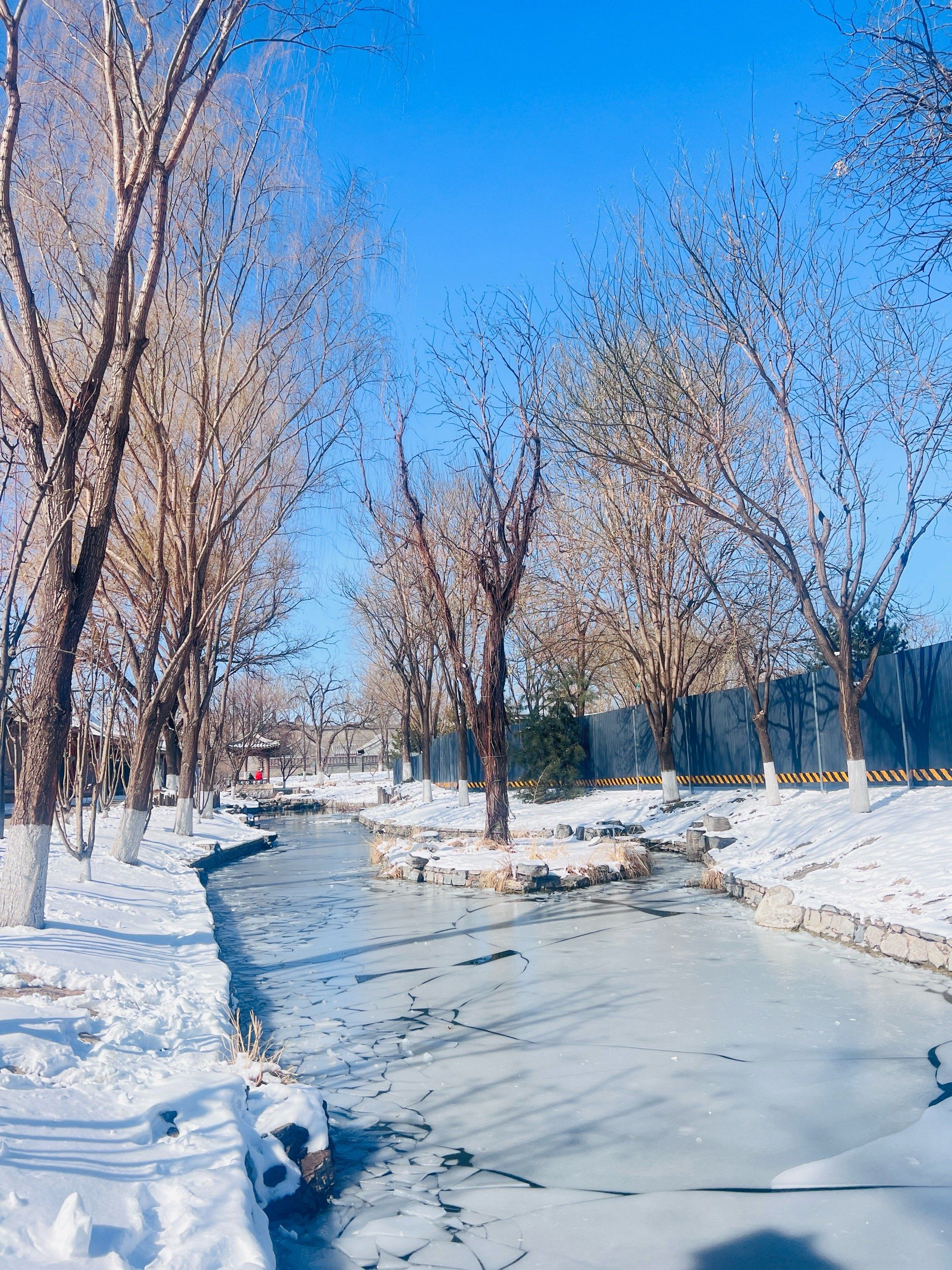 公园|雪后的三里河公园,不要太美!