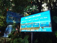 -广州市帽峰山景区