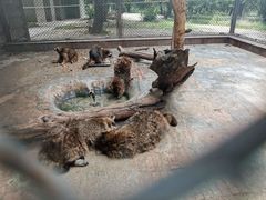 -西安秦岭野生动物园