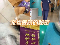 -美迦爱-牙专科·兔科·骨科诊疗中心(北苑店)