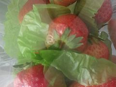 -百果园PAGODA(升龙城店)