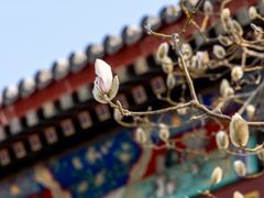 -北京颐和宾馆