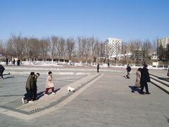 -丁香湖公园