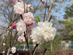 -福州大学(旗山校区)