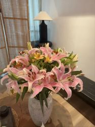 -花隐瑜伽·普拉提·红绳