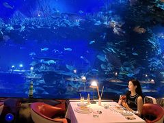 -迪拜帆船酒店海底餐厅