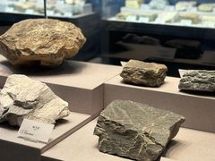 -湖南省地质博物馆