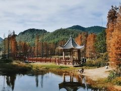-广州市石门国家森林公园