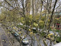 -红宝石·鲜奶小方·海派西点房(联洋店)