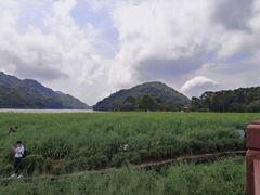 -广州市石门国家森林公园