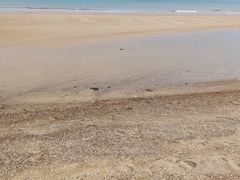 -那香海钻石沙滩浴场