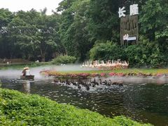 -广州长隆飞鸟乐园