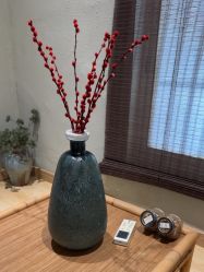 -香秀空间科技抗衰·美容中心