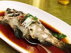 蒸石斑鱼-广州逸林假日酒店·四季桃源中餐厅(白云山风景区店)