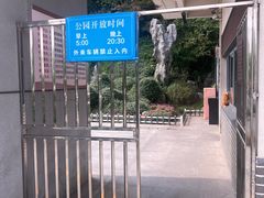 -菊花台公园