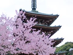 -醍醐寺