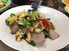 -港升鱼师傅·中山脆肉鲩