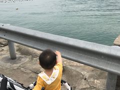 -南麂列岛