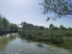 -绿堤公园