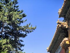 -北京市劳动人民文化宫(太庙)
