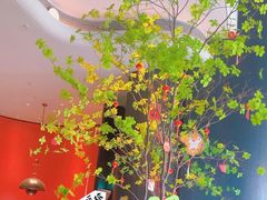 -新兴·金羊座·粤菜点心(乐峰店)