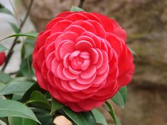 -广东外语外贸大学(白云山校区)