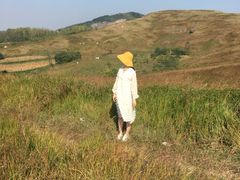 -恋山坝上草原