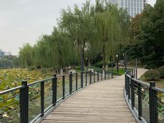 -后襄河公园