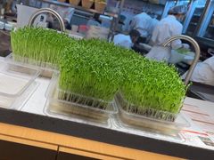 -好彩猪肚鸡(正弘城店)