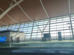 -上海浦东国际机场-T2航站楼