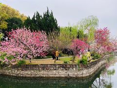 -无锡蠡湖国家湿地公园-蠡园