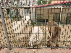-丽泽山庄·生态怀柔菜·虹鳟鱼(红螺寺店)