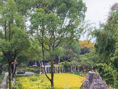-朱家角课植园