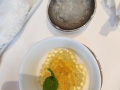 铁观音燕窝芒果布丁-伯衡55·吉品轩(乌鲁木齐南路店)