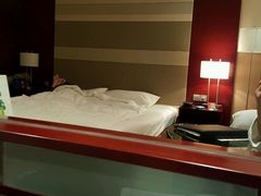 -南桥绿地铂骊酒店